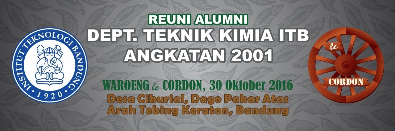 Reuni 15 tahun TK 2001 — 2016 (5)